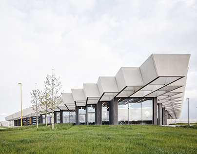 Кафка, Геринг и Хинд Раджаб // Чем удивит международный кинофестиваль в Сан-Себастьяне