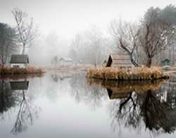 В 2026 году в Красноярском крае вступят в силу новые региональные налоговые законы