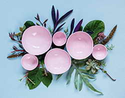 В ДНР откроют пункты Wildberries и Ozon