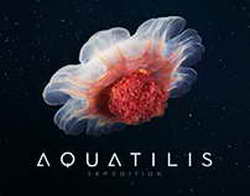 Девушка симулировала беременность и похоронила куклу вместо ребенка