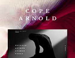 Амазонки и советские модницы: лучшие нон-фикшен-книги 2015 года о женщинах