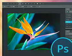 Процессоры Intel Core i3-13100F и Intel Core i7-10700K сравнили в современных играх