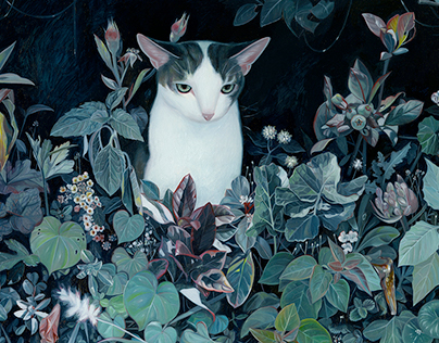 Любят ли кошки, когда их обнимают  правда, о которой мало кто знает