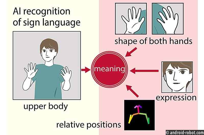 Новый метод улучшает перевод языка жестов с помощью искусственного интеллекта